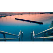 El Viaje en el Adulto